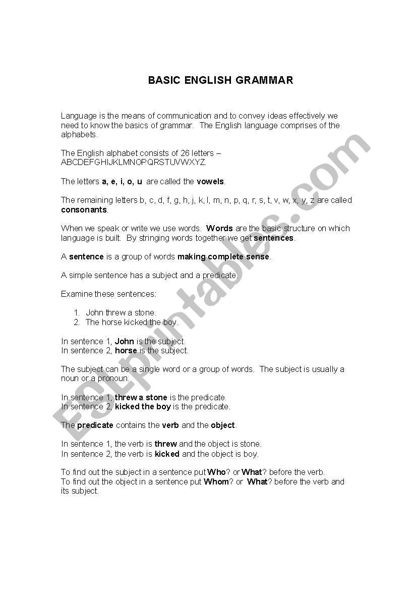 BASIC ENGLISH GRAMMAR worksheet