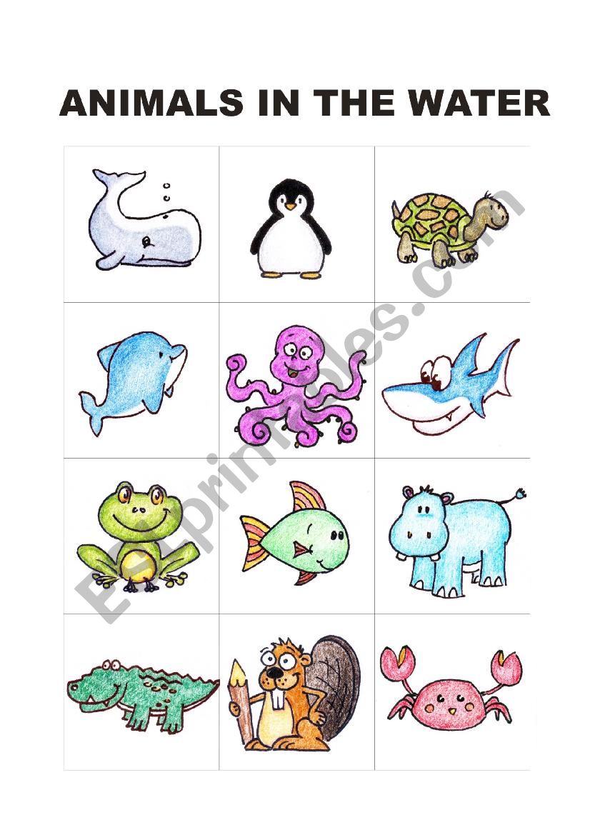 Animals in the water worksheet