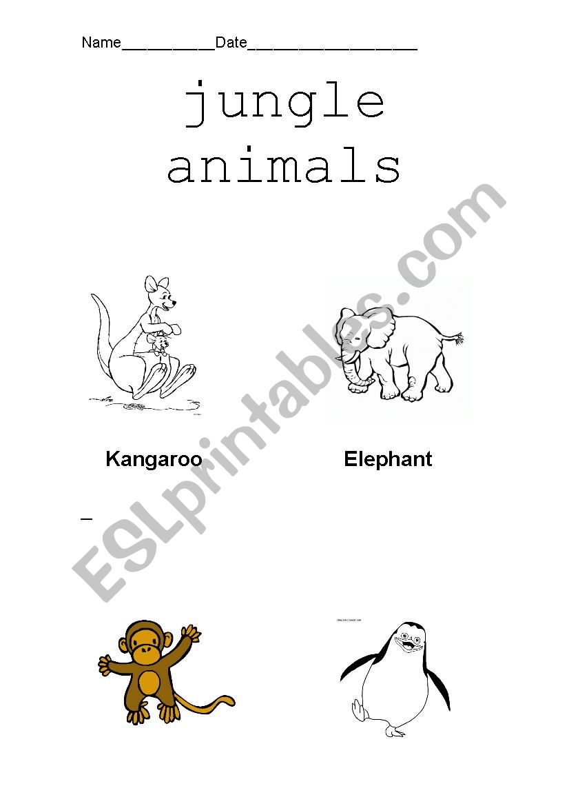 Animals worksheet