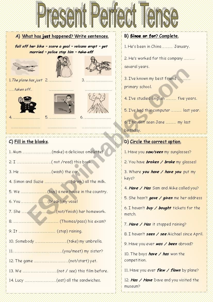 Present Perfect Tense worksheet