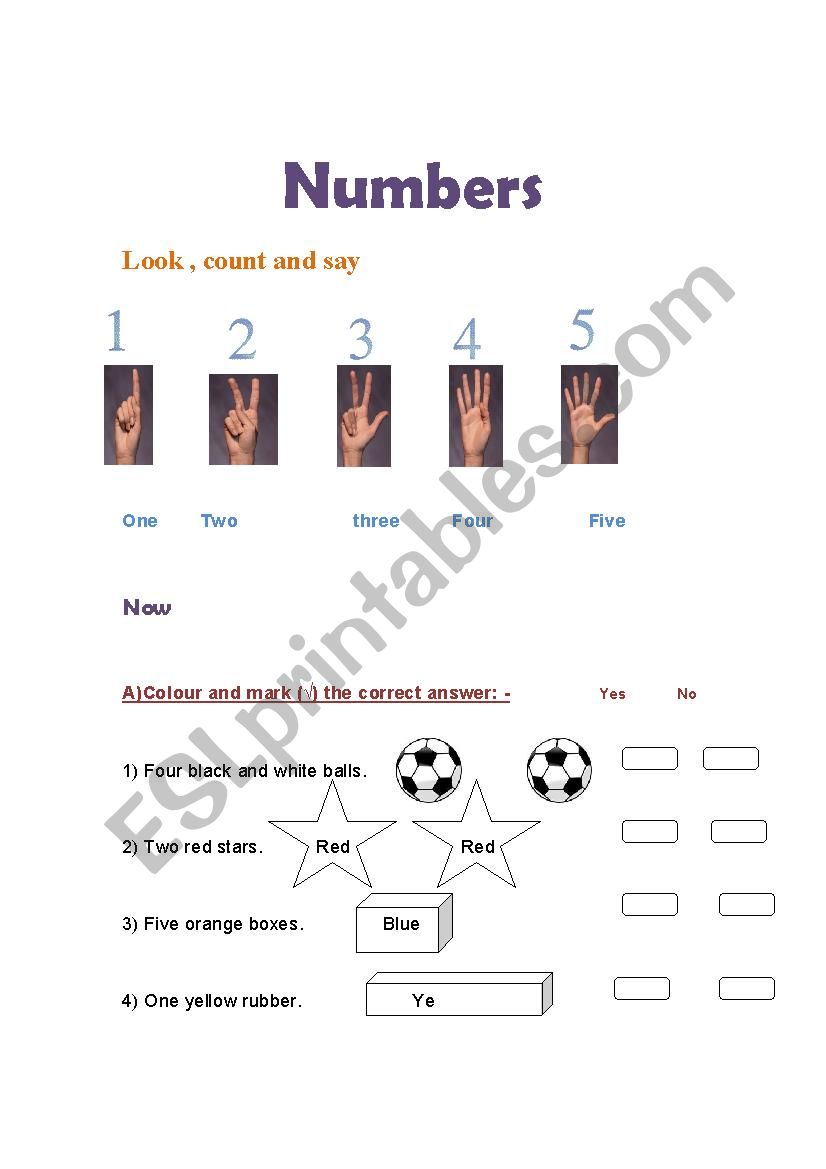 numbers worksheet