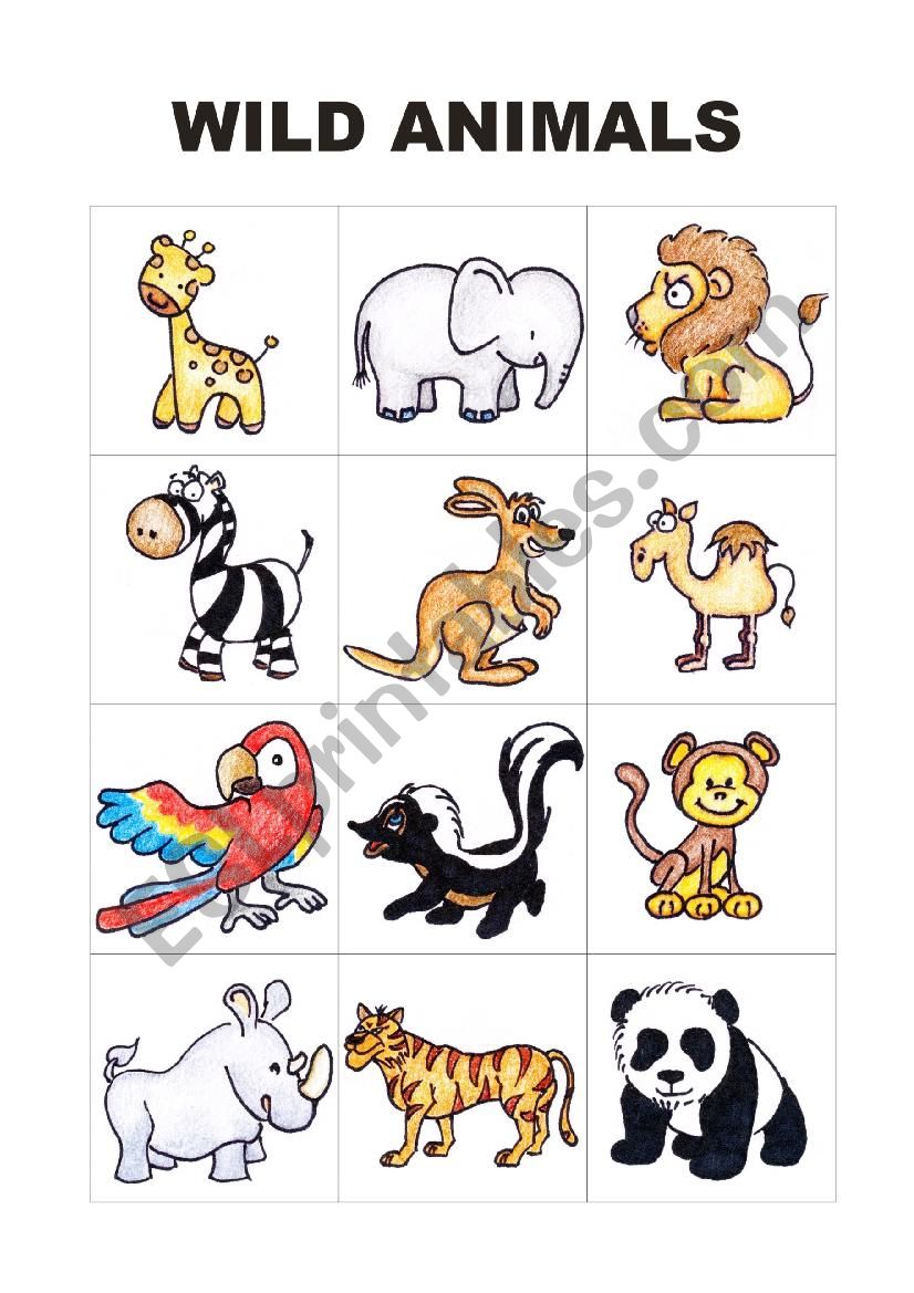 Wild animals worksheet