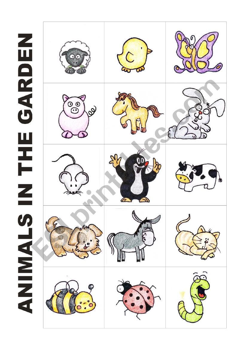 Animals in the garden worksheet