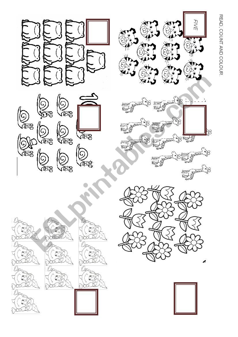 numbers worksheet