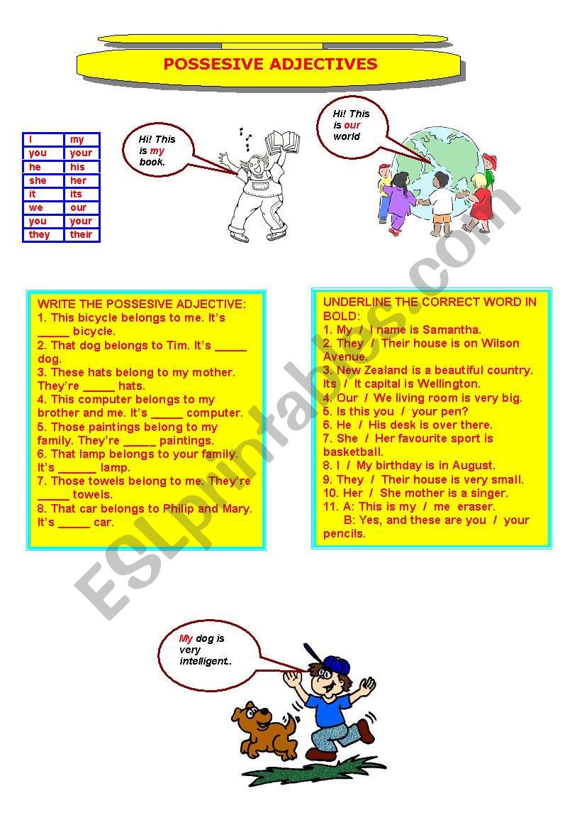 Possessive Adjectives worksheet