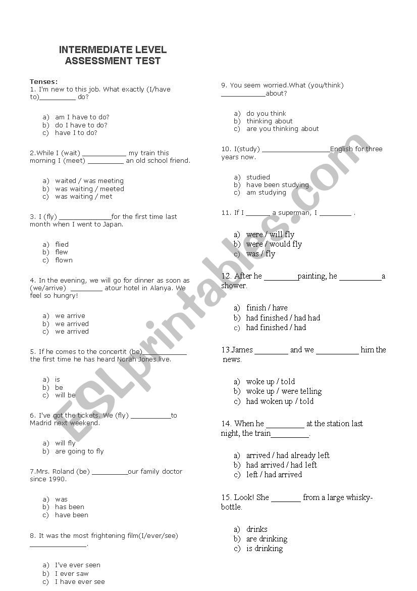 Intermediate Level Assessment Test