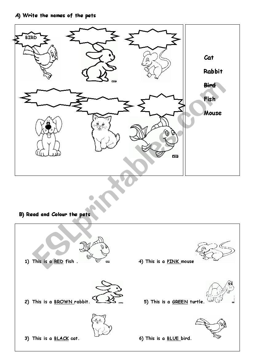 pets worksheet