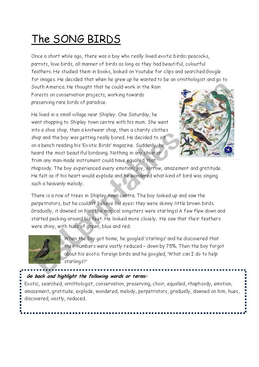 The Singing Starlings worksheet