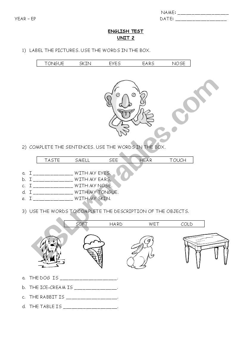 The five senses  worksheet