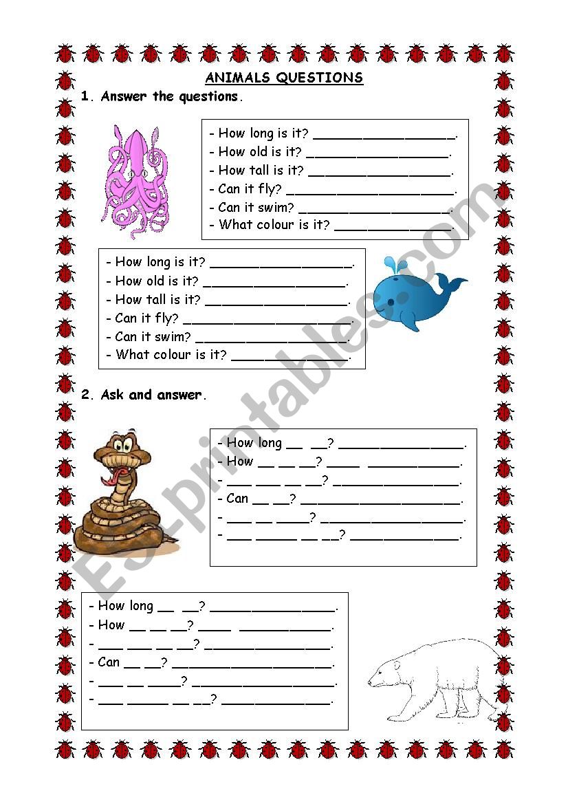 Questions about animals worksheet