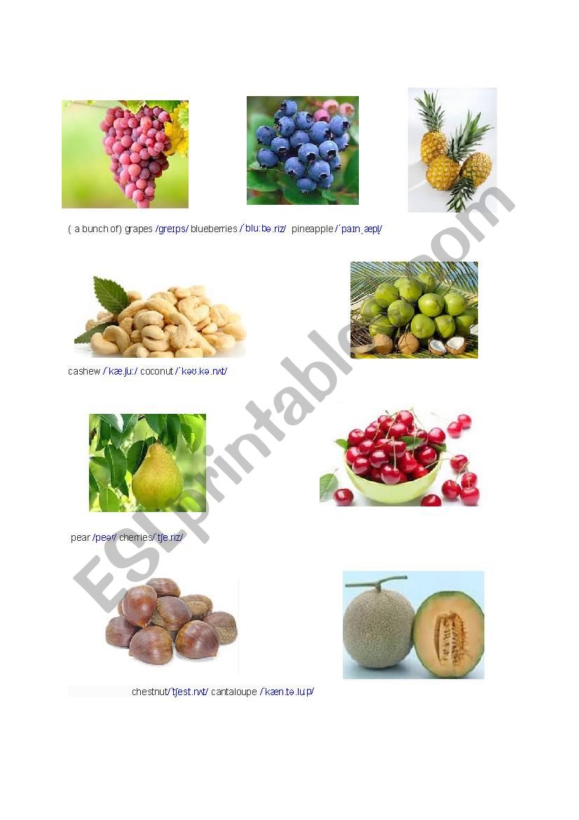 fruits worksheet