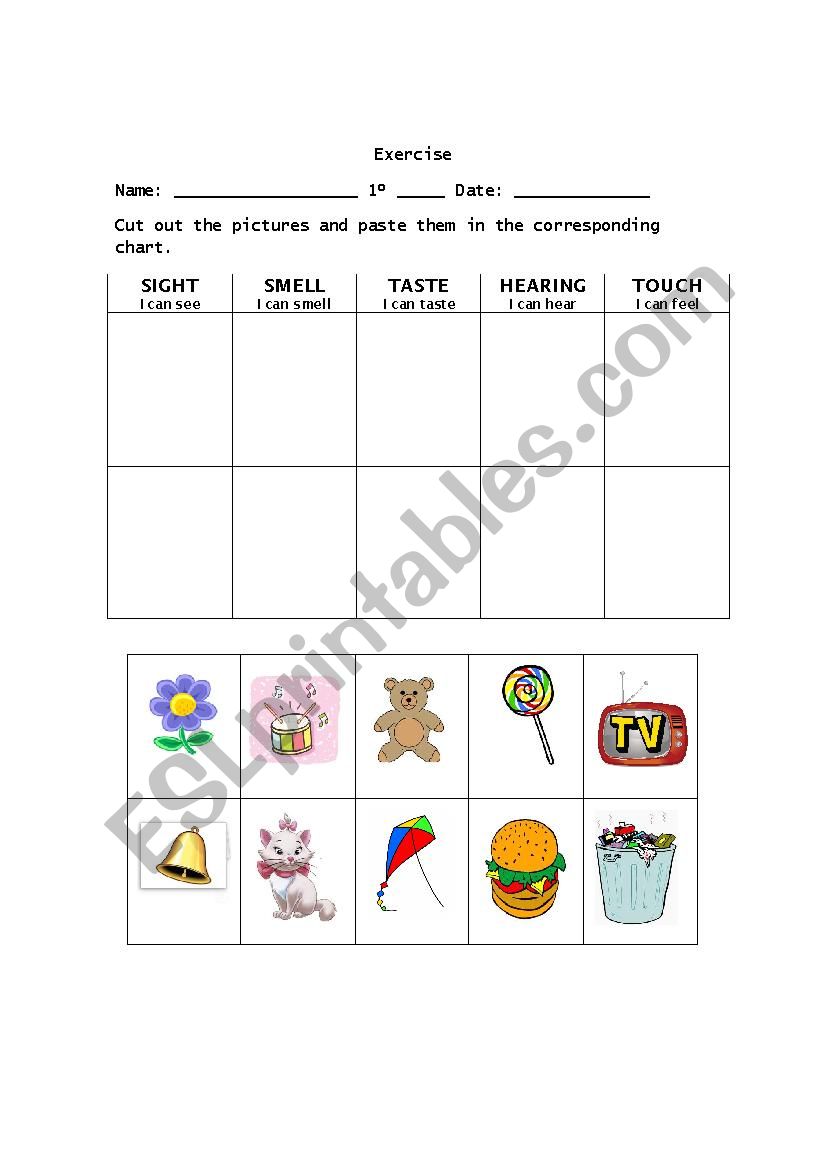 Senses worksheet