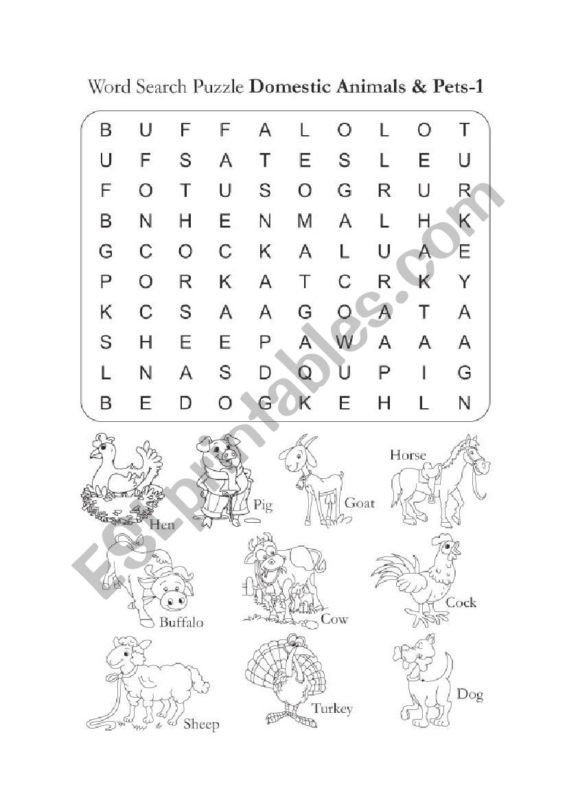 animals worksheet