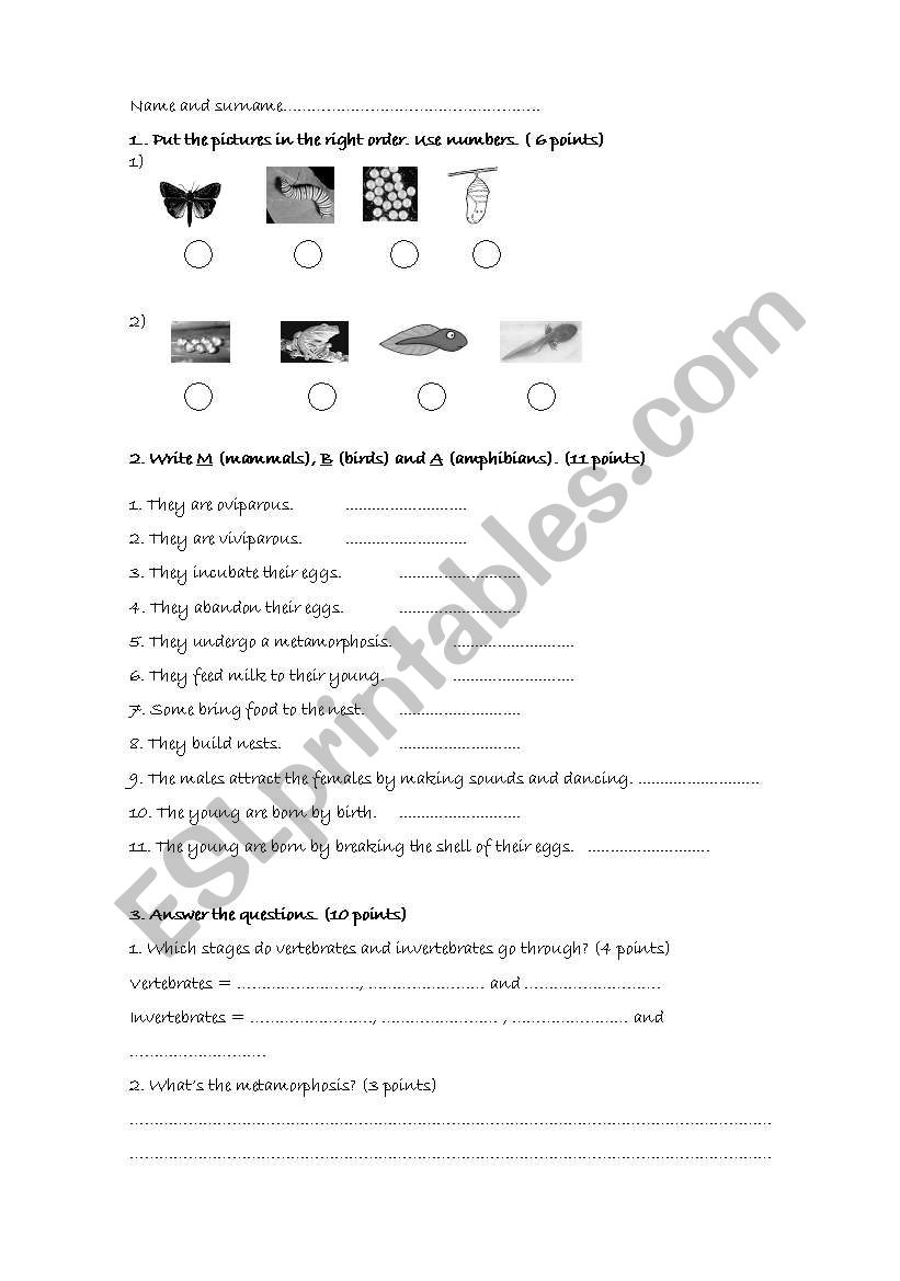 Anima reproduction worksheet