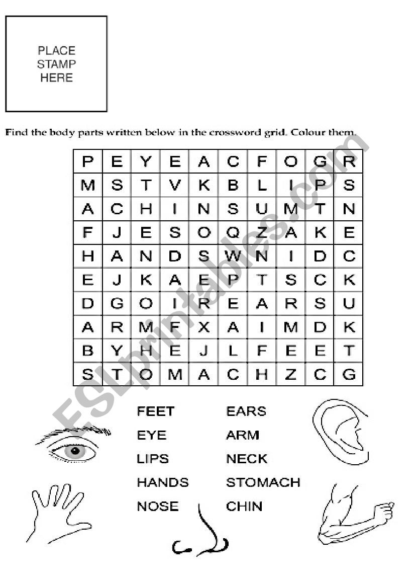 Body Parts worksheet