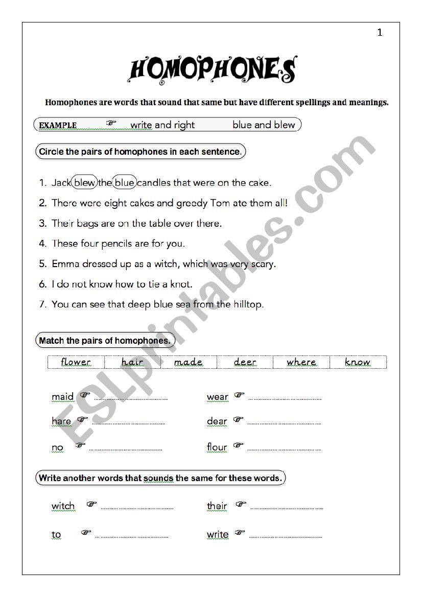 Homophones worksheet