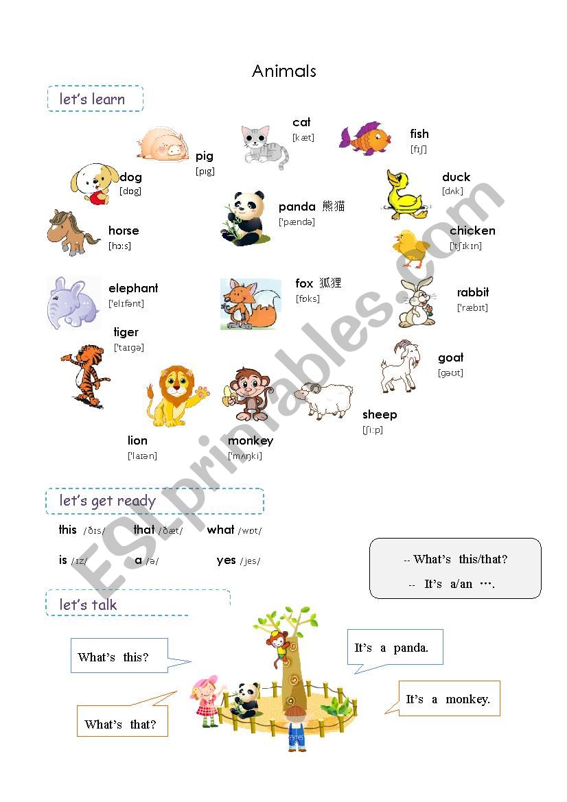 animals worksheet