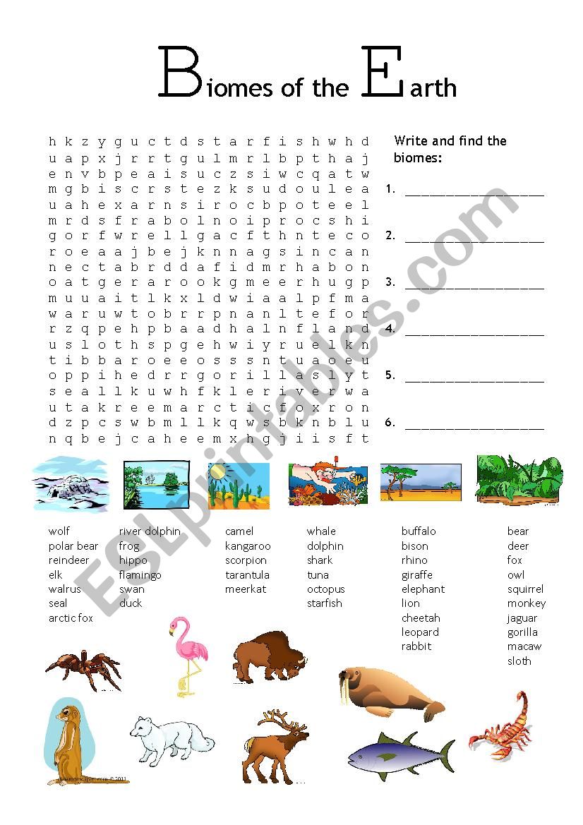 Biomes of the Earth worksheet