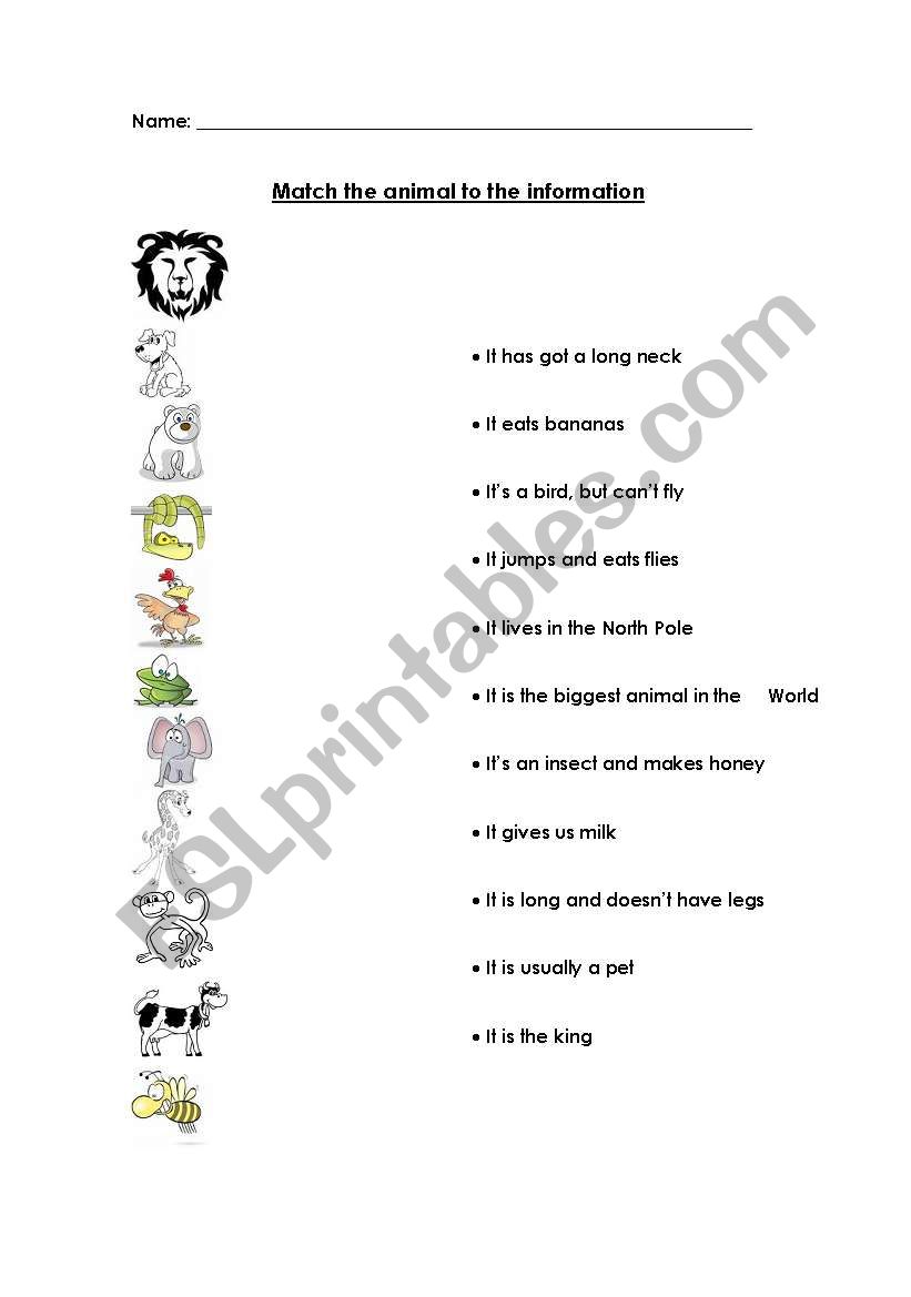 Animals worksheet