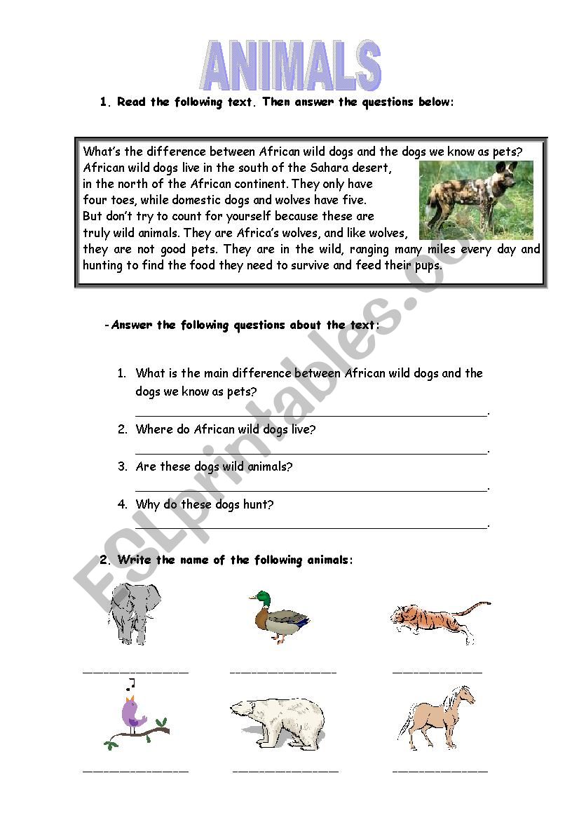 animals test worksheet