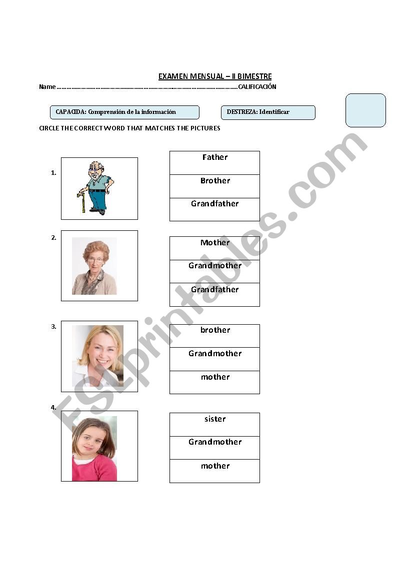 family/ short/tall worksheet
