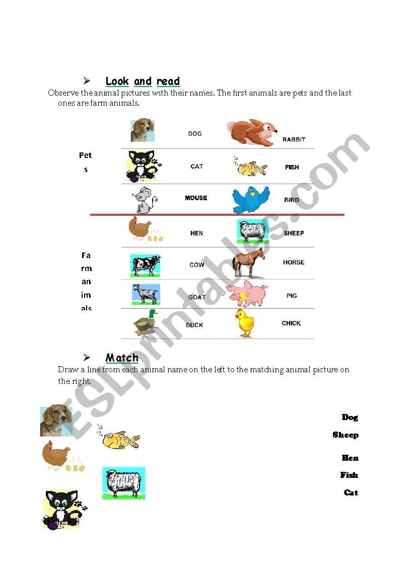 Farm animals and pets worksheet