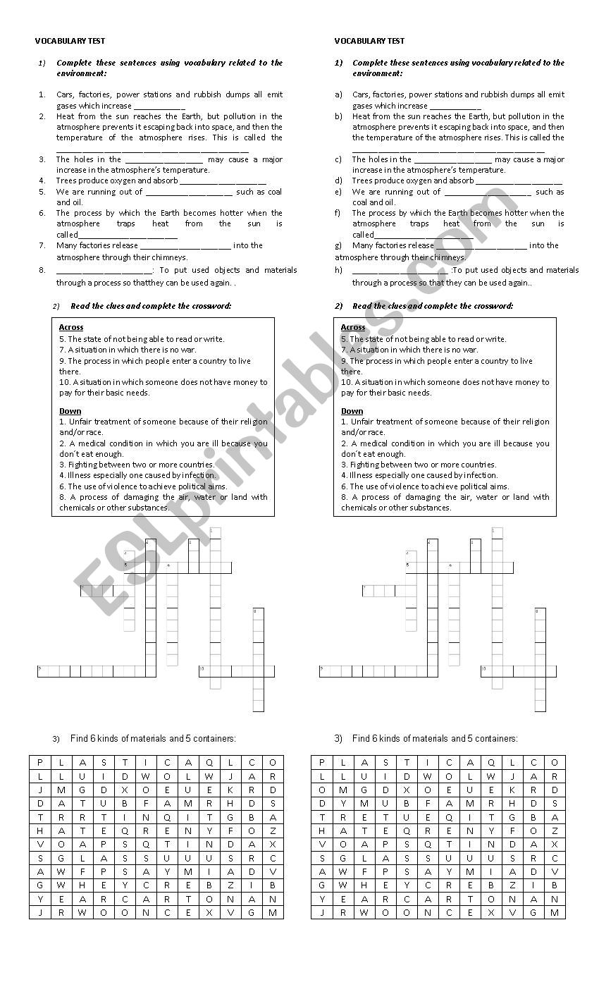 Vcabulary Test worksheet