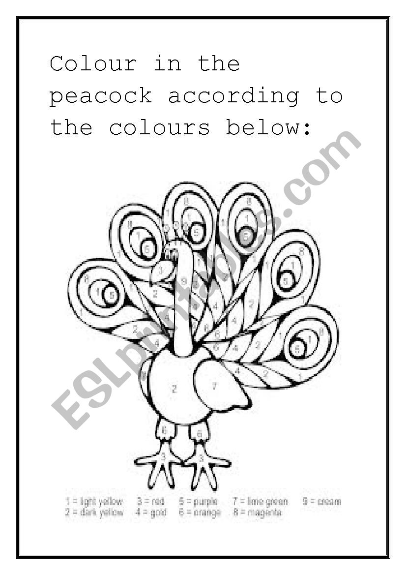 Peacock colours worksheet