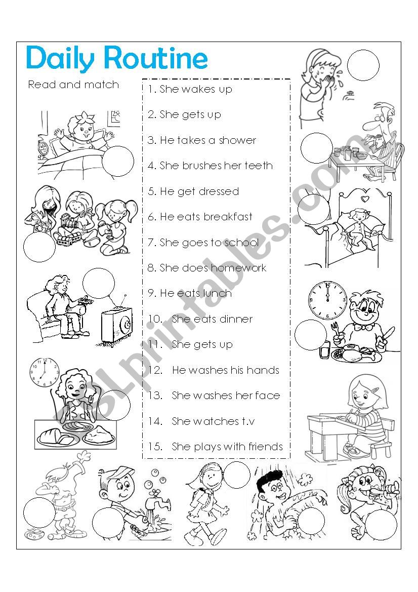 Daily  Routine worksheet