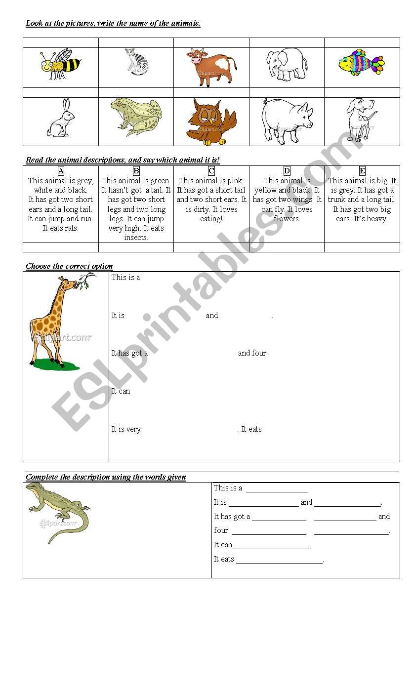 ANIMAL DESCRIPTION worksheet