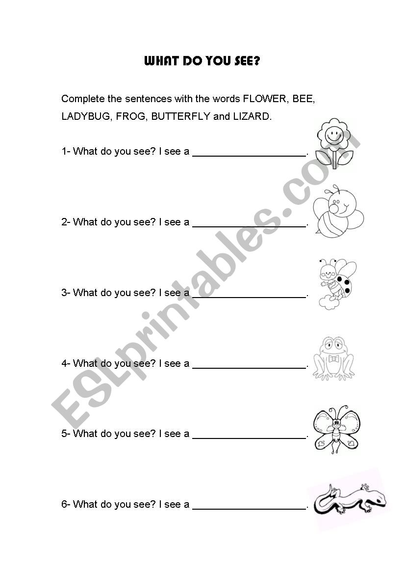 I can see a flower! vocabulary