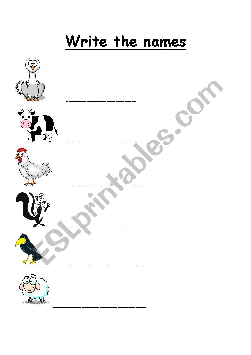 animals  worksheet