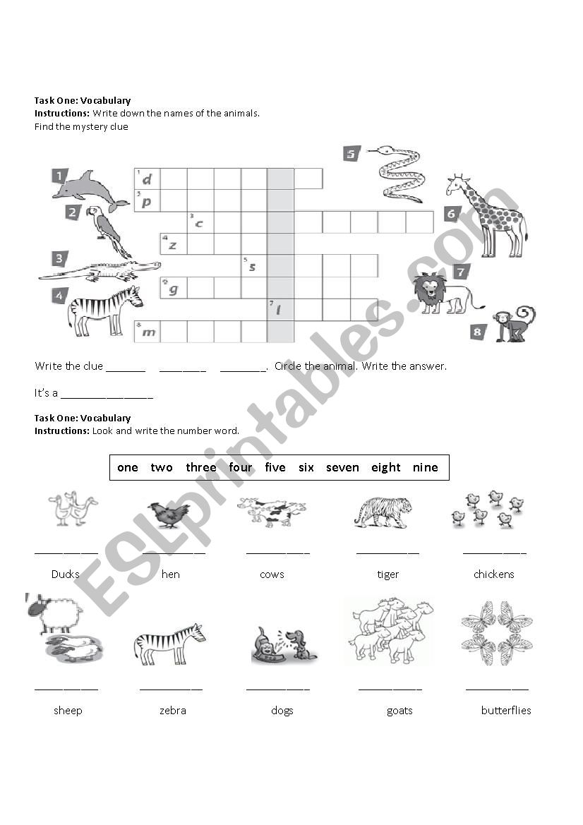 Animals worksheet