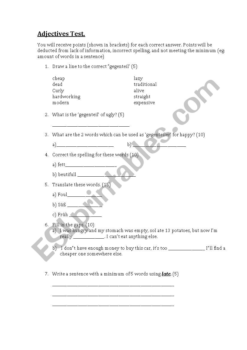 Adjective Test  worksheet