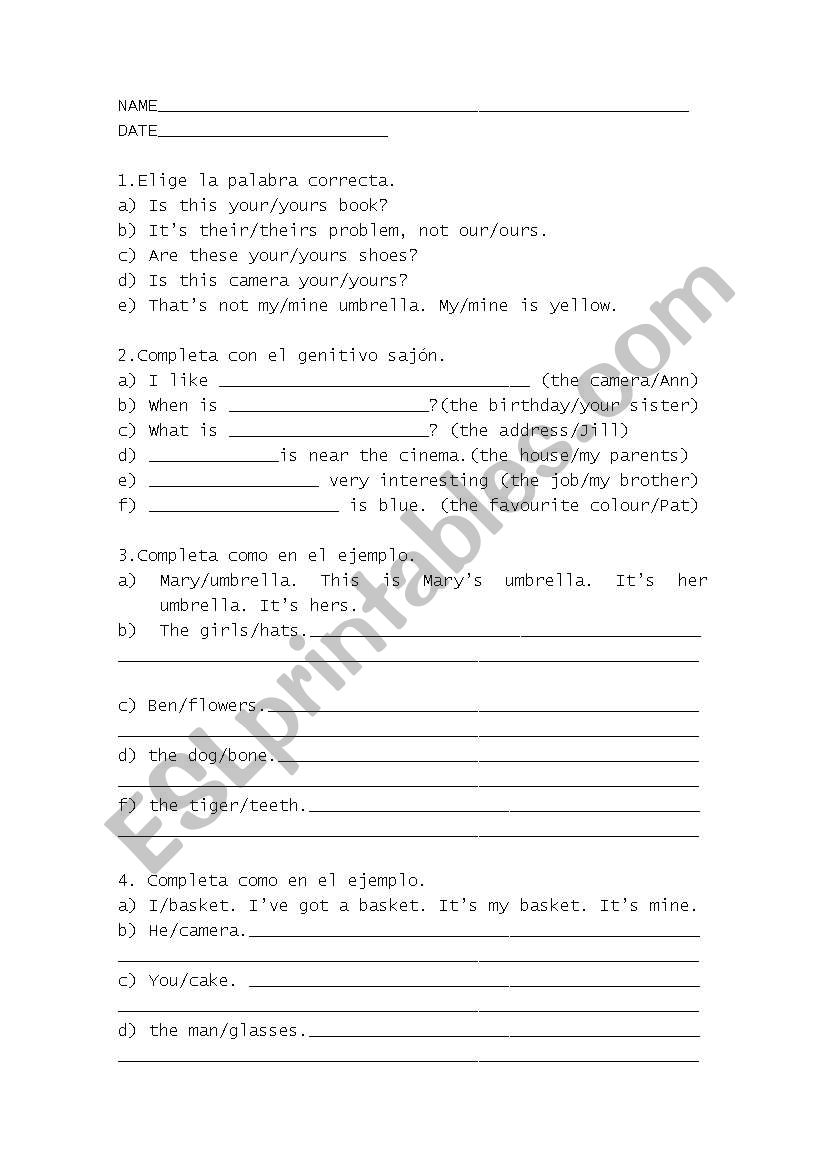 Possessives worksheet