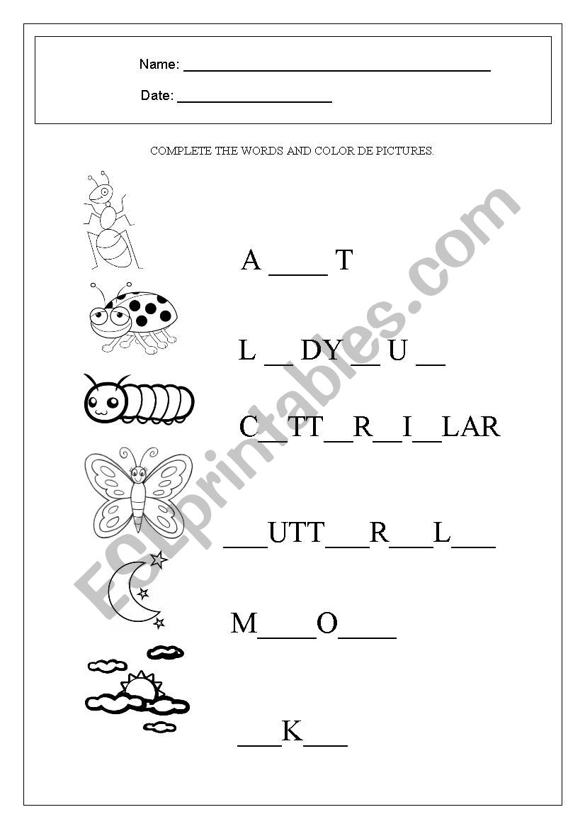 Insects and Nature worksheet