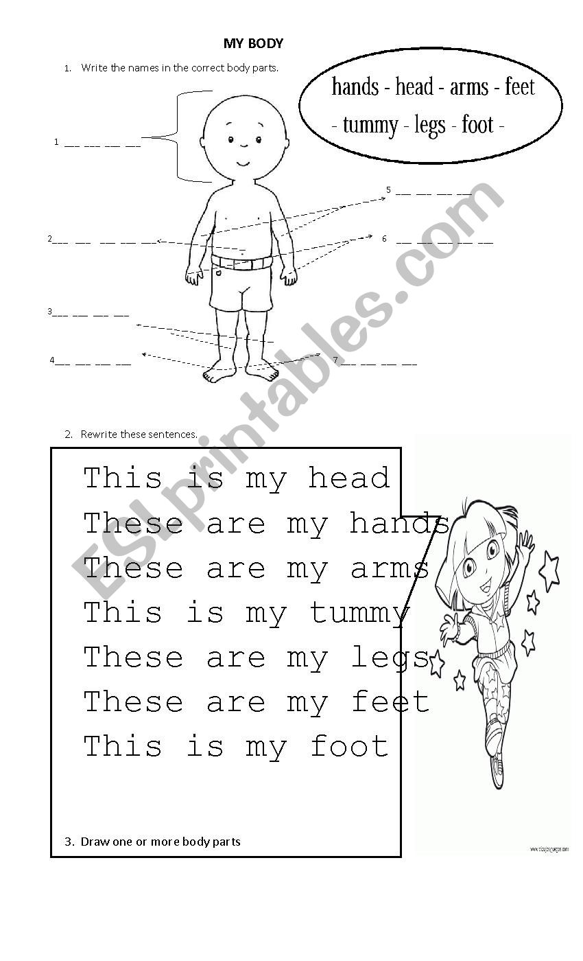 Body parts worksheet