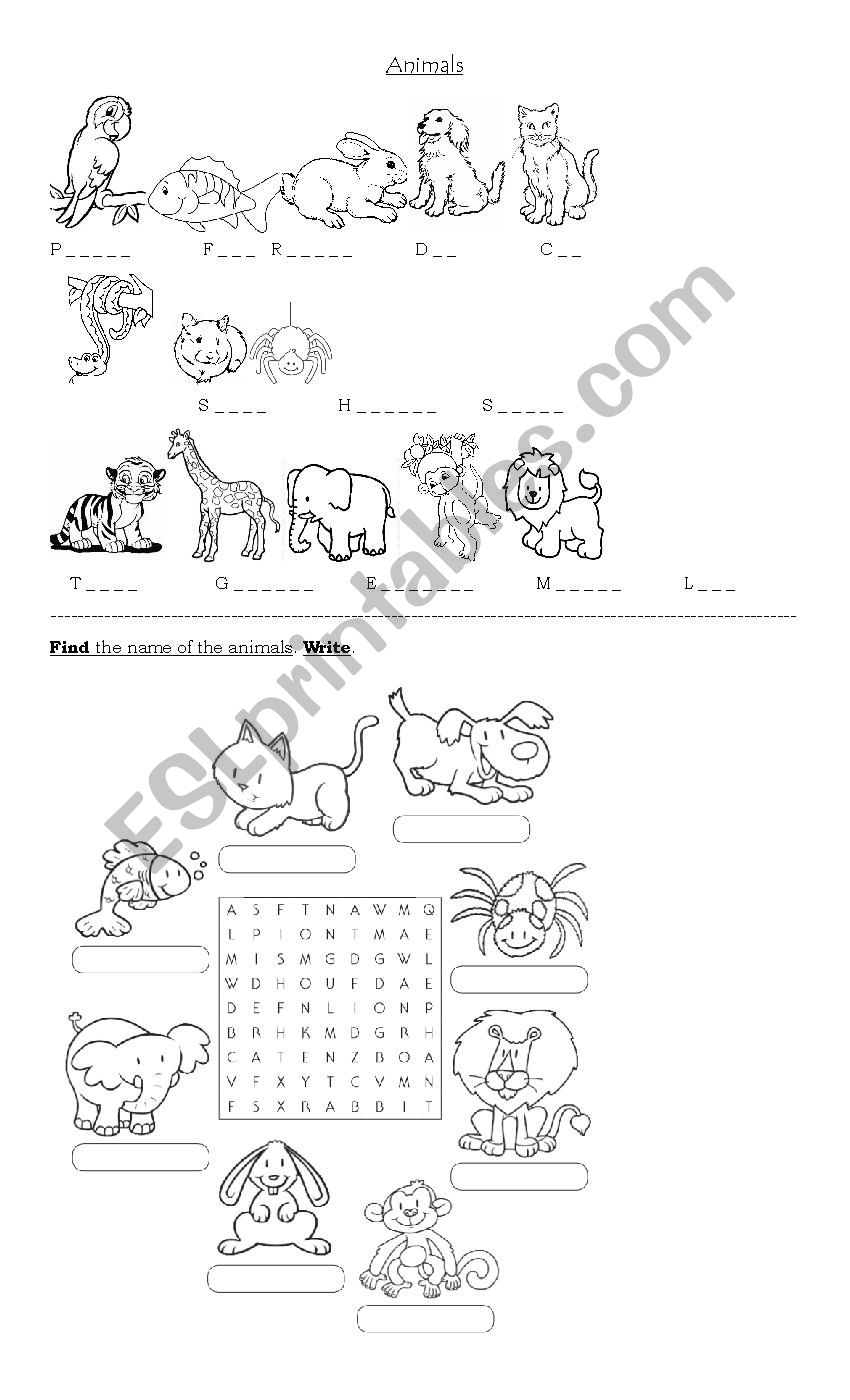 Animals worksheet