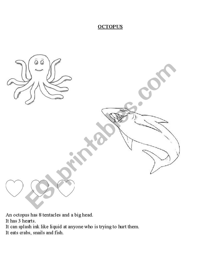 octopus esl worksheet by creativeminds