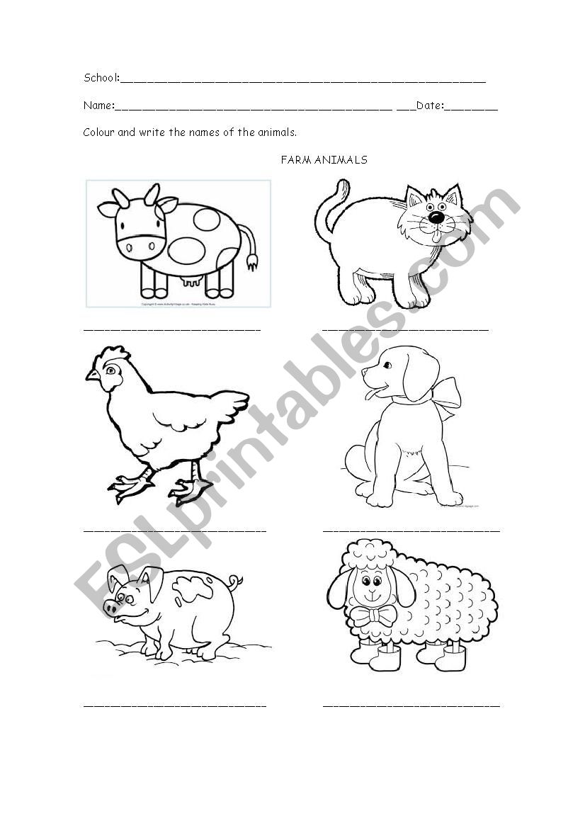 Animals worksheet