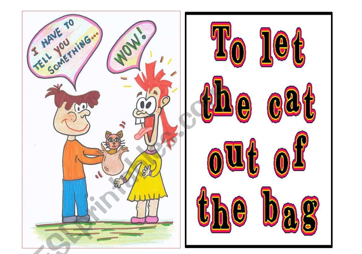 Idioms 2 out of 9 - to let the cat out of the bag