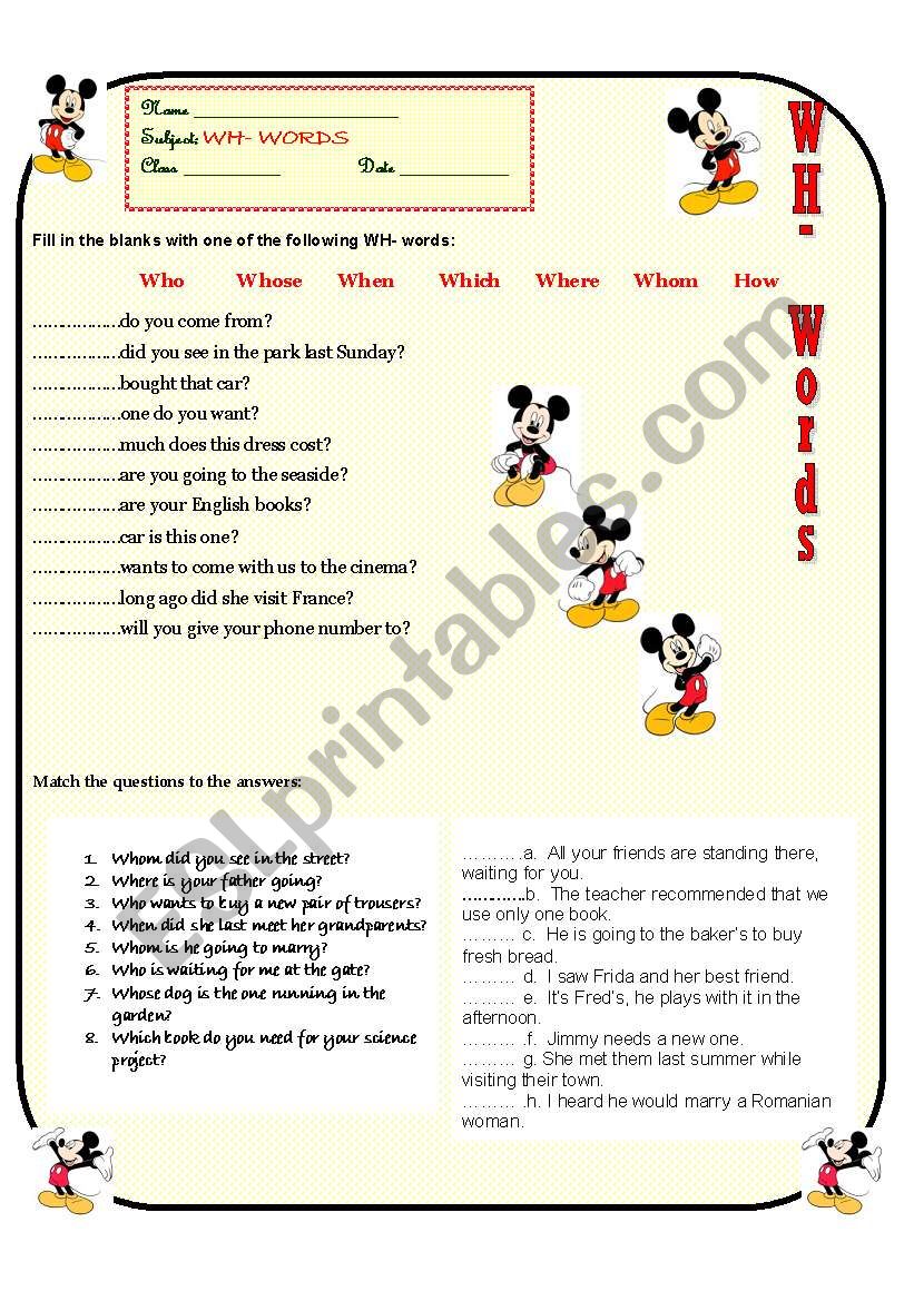 WH-   WORDS worksheet