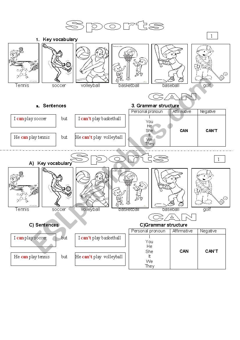 Modal Can -Affirmative worksheet