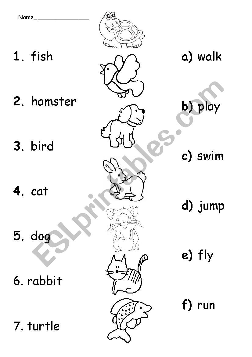 pets and actions worksheet
