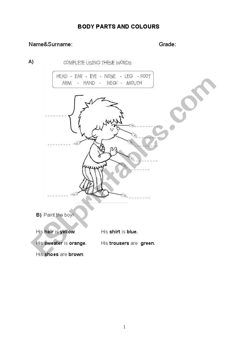 BODY PARTS AND COLOURS worksheet