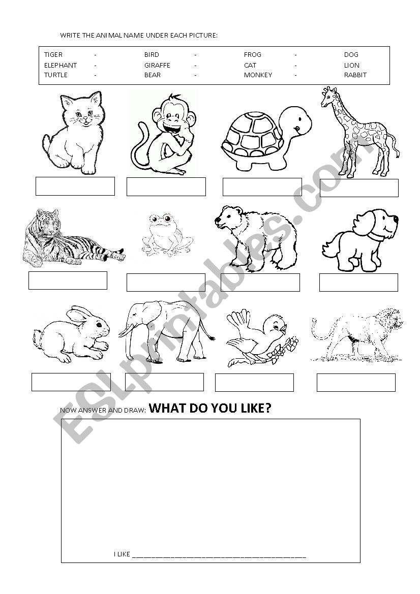 Animals worksheet