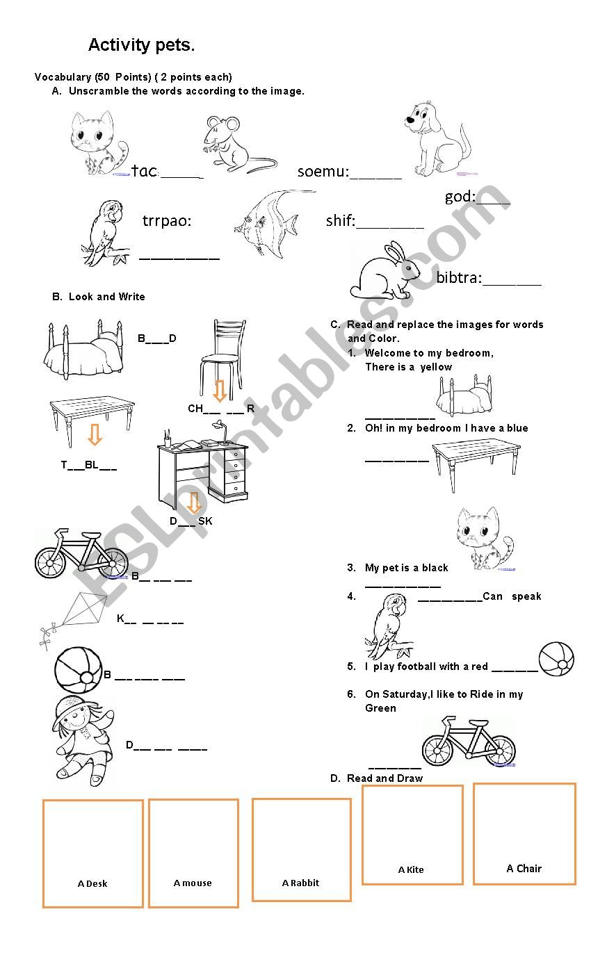 Pets activity quiz worksheet