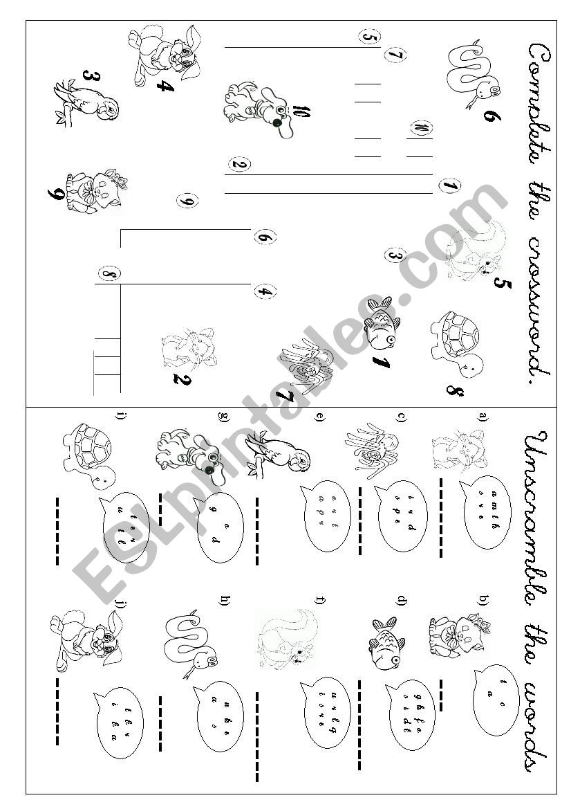 Pets  worksheet