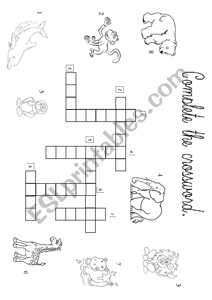 wild animals worksheet