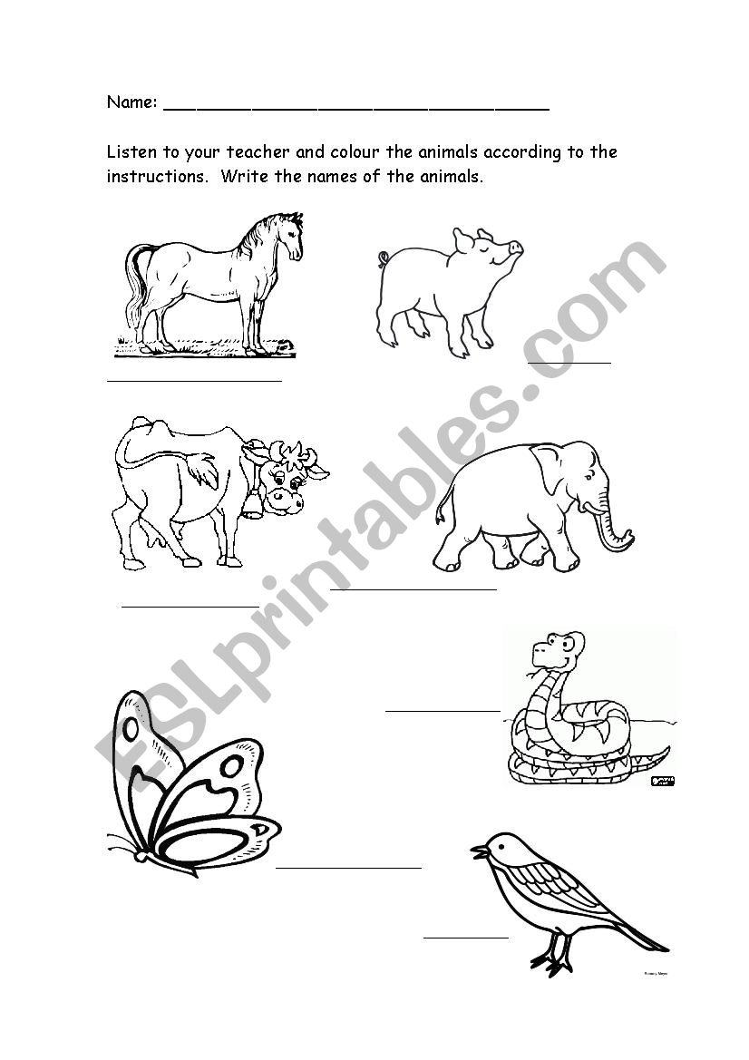 Animals worksheet